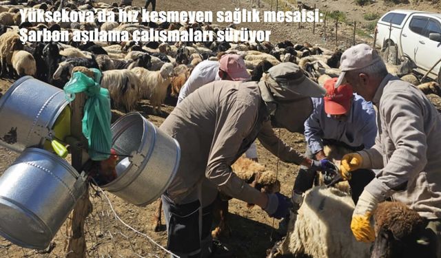 Bölge