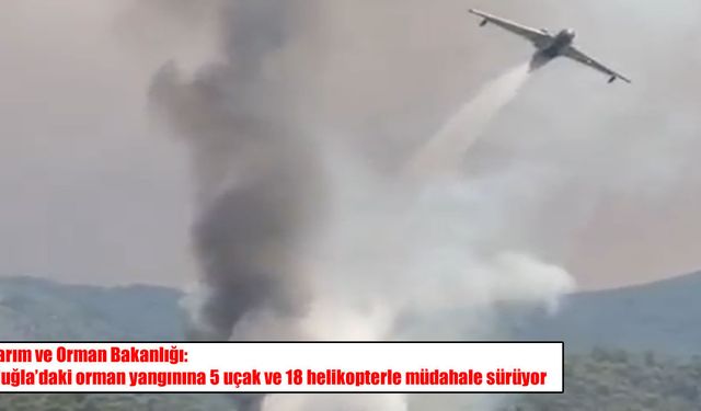 Muğla’da orman yangını büyüyor: Seydikemer Devlet Hastanesi tahliye ediliyor