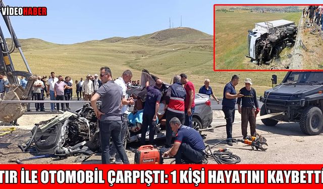 Muş-Varto yolunda trafik kazası: 1 ölü, 1 yaralı