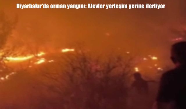 Diyarbakır'da korkutan orman yangını: Alevler yerleşim yerlerine dayandı