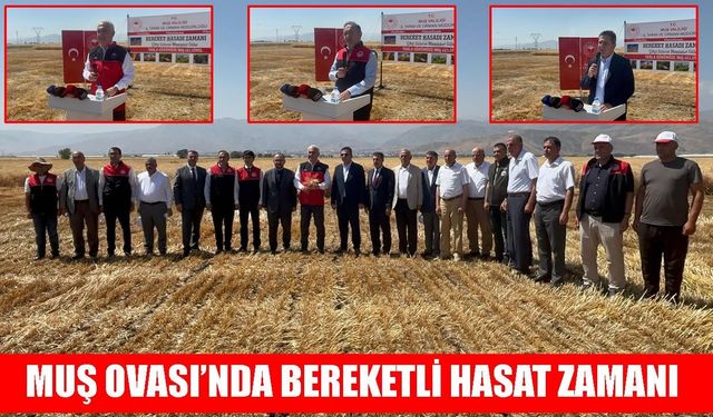 Muş Ovası'nda ‘Bereket Hasadı Zamanı’: 11 milyar liralık ekonomik katkı bekleniyor