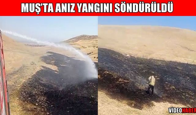 Muş'ta dağlık alandaki anız yangını kontrol altına alındı