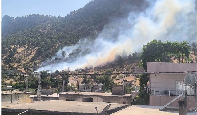 Siirt’te Orman Yangını Erken Müdahaleyle Söndürüldü