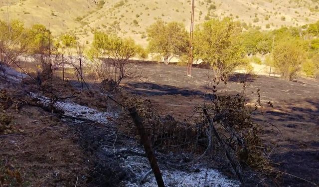 Keban'da ağaçlık alanda çıkan yangın söndürüldü
