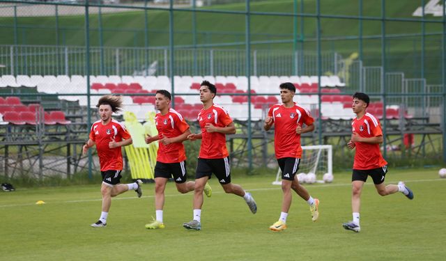 Vanspor FK'de hedef ligde "kalıcı" olmak