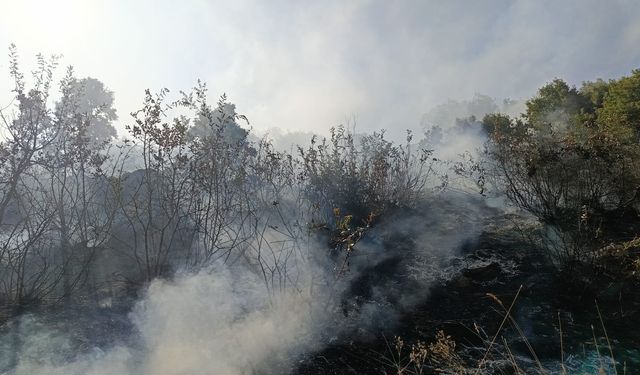 Bingöl'de orman ve mera yangınları söndürüldü