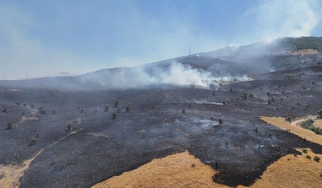 Tunceli'deki orman yangını söndürüldü