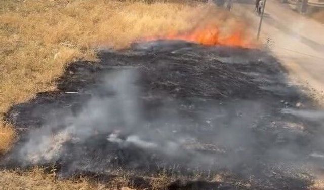 Elazığ’da Otluk Alanda Çıkan Yangın Söndürüldü