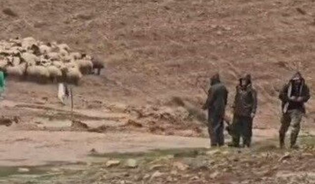 Tunceli’de selin vurduğu yaylalarda üreticiler zor anlar yaşadı