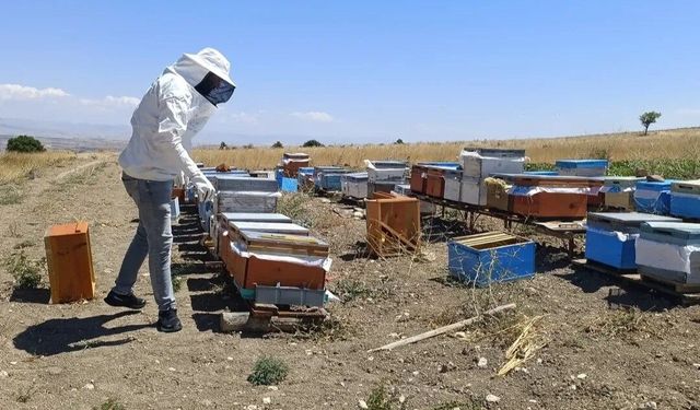 Ağın’da arıcılık çalışmalarında üreticilere destek