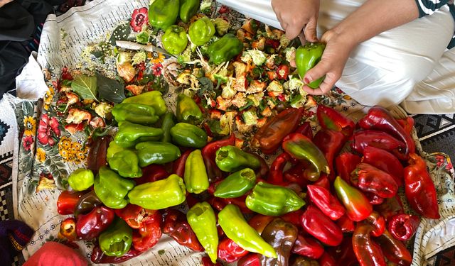 Ağrı'da kış hazırlıkları başladı: Kapya biberler ipe diziliyor