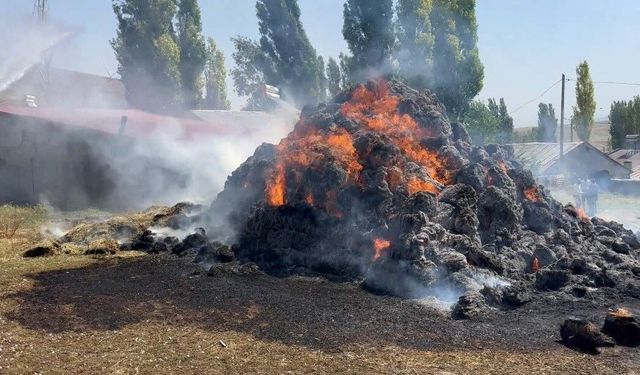 Kars’ta bin ot balyası kül oldu
