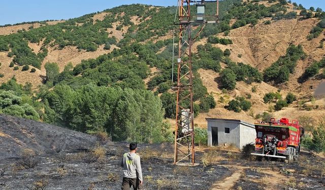 Bingöl’de kırsal alanda çıkan yangın söndürüldü