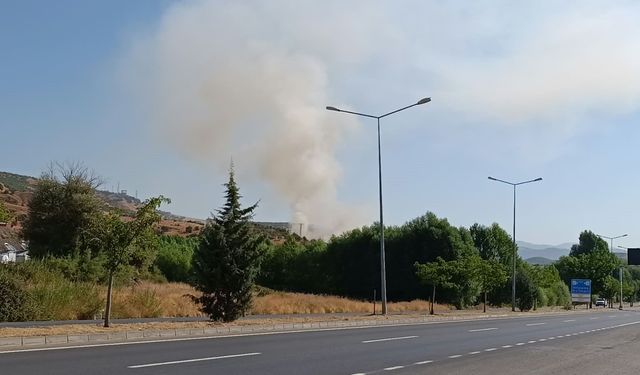 Bingöl’de otluk alanda çıkan yangın büyümeden söndürüldü