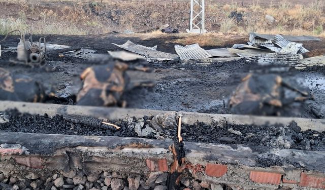 Elazığ'da 10 gün önce aldıkları 3 inek yangında telef oldu