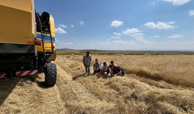 Kars’ta biçerdöver hasadı kontrolleri sıklaştırıldı