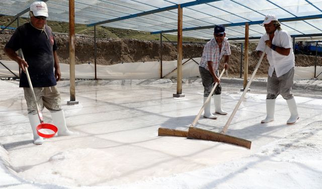 Kemah Tuzu için Avrupa Birliği coğrafi işareti başvurusu
