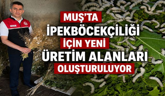 Muş’ta ipekböcekçiliği denemelerinde ilk sonuçlar yüz güldürdü