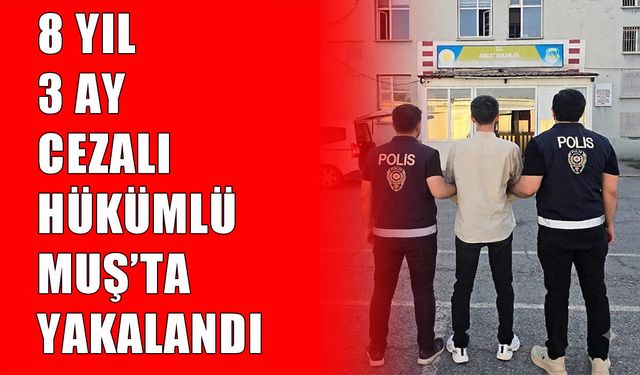 Muş’ta iki ayrı suçtan hapis cezasıyla aranan şahıs yakalandı