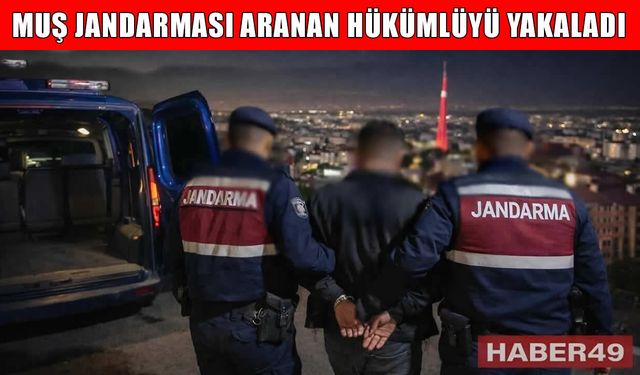 Muş’ta 4 yıl 2 ay hapis cezası bulunan firari hükümlü yakalandı