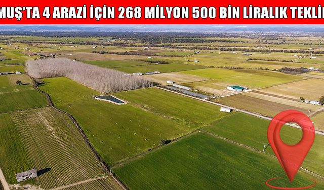 Muş’taki 4 taşınmaza rekor fiyat: 268 milyonluk dev ihale!