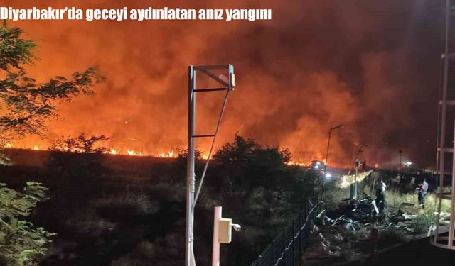 Diyarbakır’da korkutan anız yangını: Ekiplerin müdahalesiyle 4 saat sonra söndürüldü