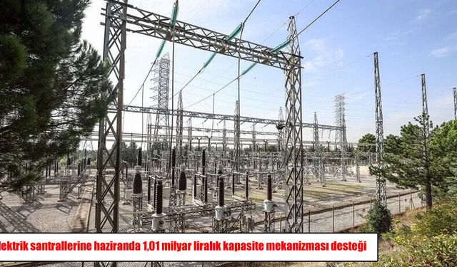 Elektrik santrallerine 1,01 milyar liralık destek: 17 santrale ödeme yapılacak