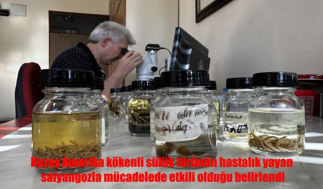 Türk Bilim İnsanından Dünyada Ses Getiren Keşif