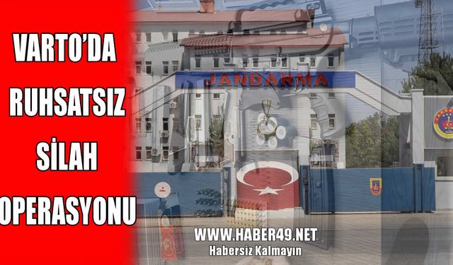 Varto'da silah operasyonu: Çok sayıda silah ve mühimmat ele geçirildi