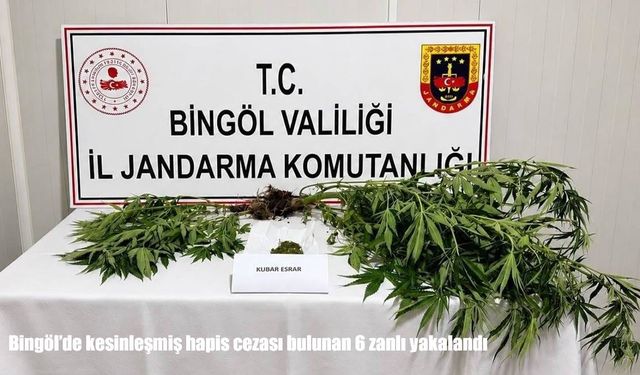 Bölge
