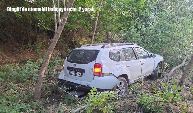 Bingöl’de otomobil bahçeye uçtu: 2 yaralı