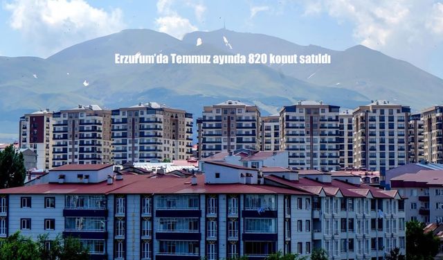 Erzurum'da Temmuz ayında 820 konut satıldı