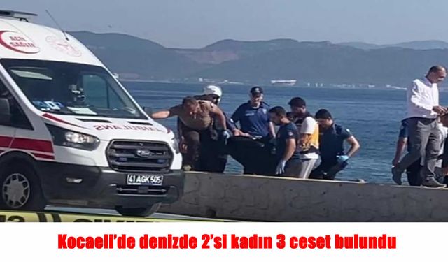 Kocaeli’de aynı gün 3 cansız beden kıyıya vurdu