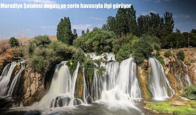 Muradiye Şelalesi yaz sıcaklarından bunalanların akınına uğruyor
