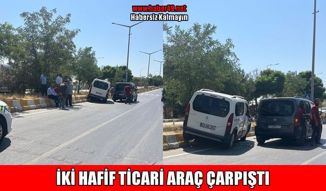 Muş-Bingöl kara yolunda 2 araç çarpıştı