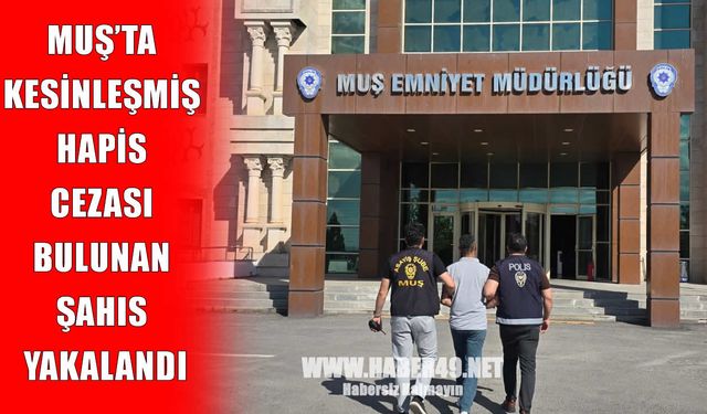 Muş’ta çeşitli suçlardan 10 yıl hapis cezasıyla aranan şahıs yakalandı