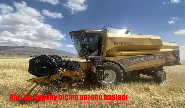 Ağrı’da buğday biçme sezonu başladı