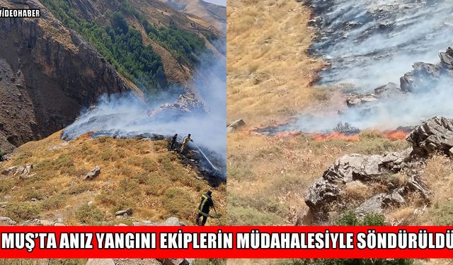 Muş’ta korkutan anız yangını