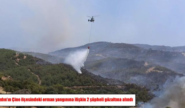 Aydın’da günlerce süren yangınla ilgili soruşturma: 2 gözaltı