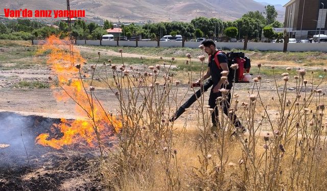 Van'da anız yangını söndürüldü