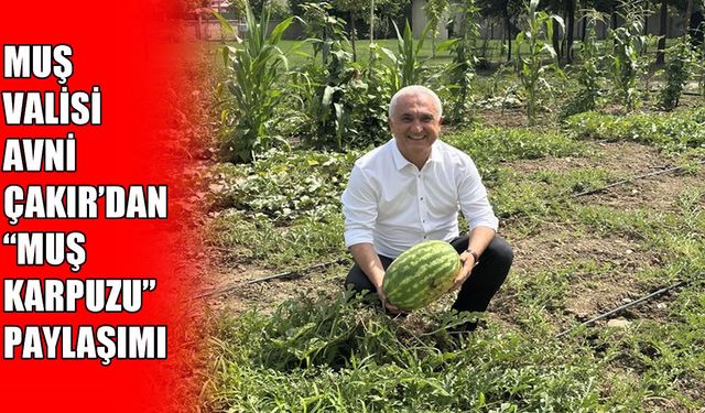 Muş Valisi Avni Çakır’dan 'Muş Karpuzu' paylaşımı: "Yemeyen kalmasın"