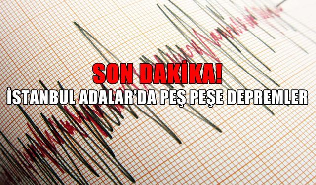 İstanbul Adalar'da 3 saat içinde 5 deprem meydana geldi