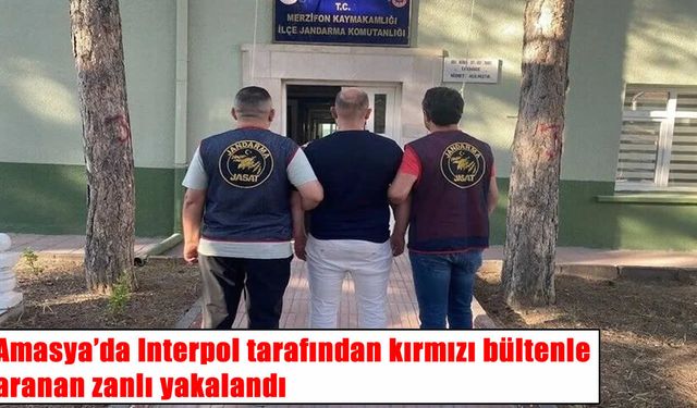 Almanya’da kırmızı bültenle aranan zanlı Amasya’da yakalandı