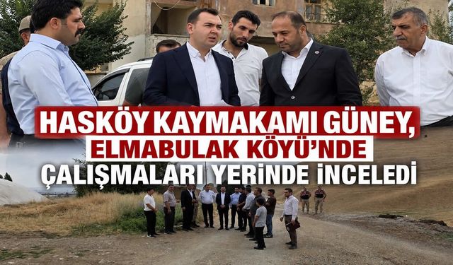 Hasköy Kaymakamı Güney’den Elmabulak Köyü’ne yatırım incelemesi