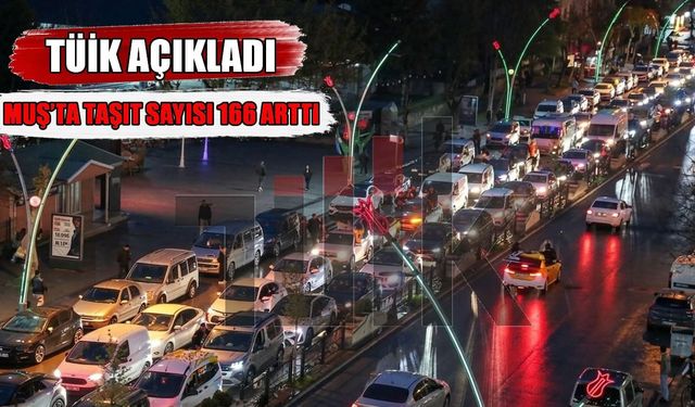 Muş’ta araç sayısı artıyor: İşte son rakamlar