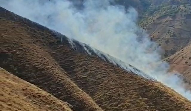 Elazığ'ın Palu ilçesinde çıkan örtü yangını söndürüldü