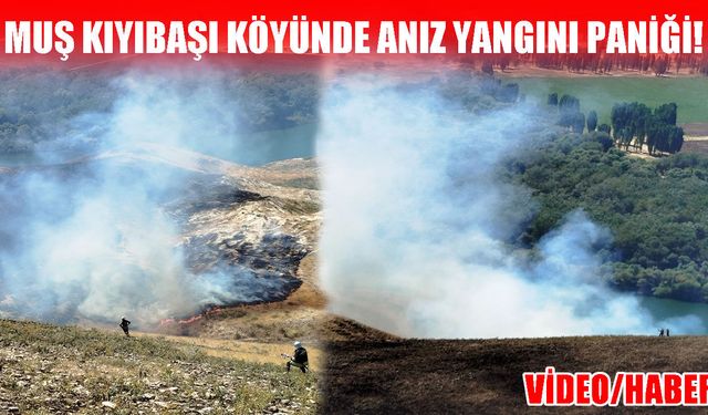 Muş’ta anız yangını: İki belediye seferber oldu