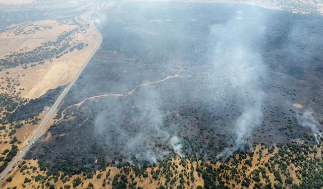 Elazığ'da kırsalda başlayan yangın ormanlık alana sıçradı: Müdahale sürüyor