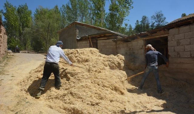 Erzincan’da çiftçilerin kış hazırlığı başladı