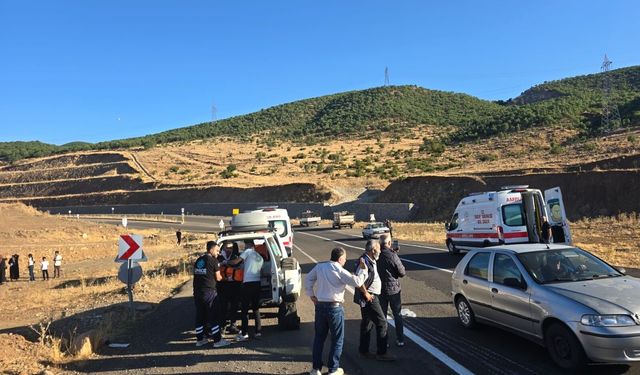 Bingöl’de kamyonet şarampole devrildi: 3 yaralı
